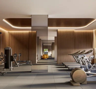 Ilustração Academia