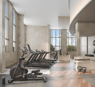 Ilustração Academia