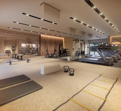 Ilustração Academia