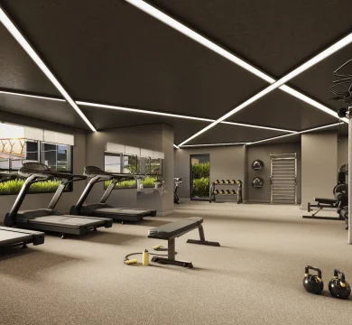 Ilustração Academia