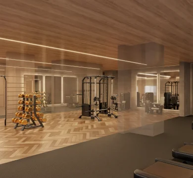 Ilustração Academia