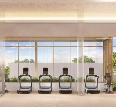 Ilustração Academia