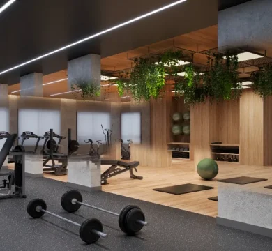 Ilustração Academia