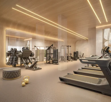 Ilustração Academia