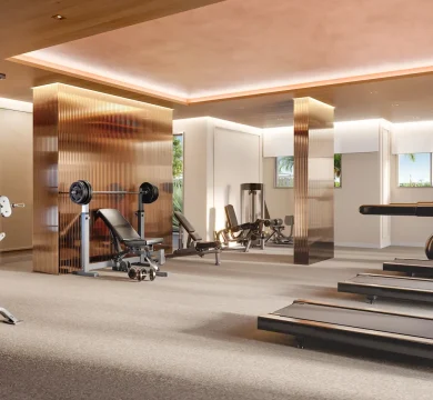 Ilustração Academia